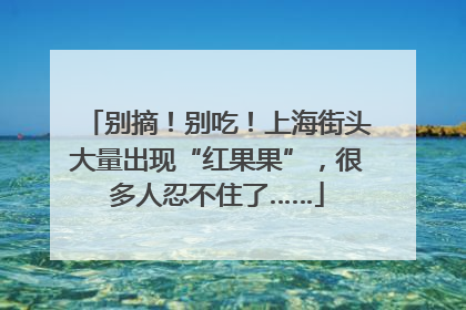 别摘！别吃！上海街头大量出现“红果果”，很多人忍不住了……